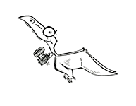 All things reptile All things reptile